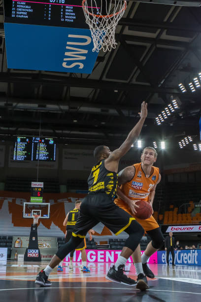 要组成部分 要组成部分